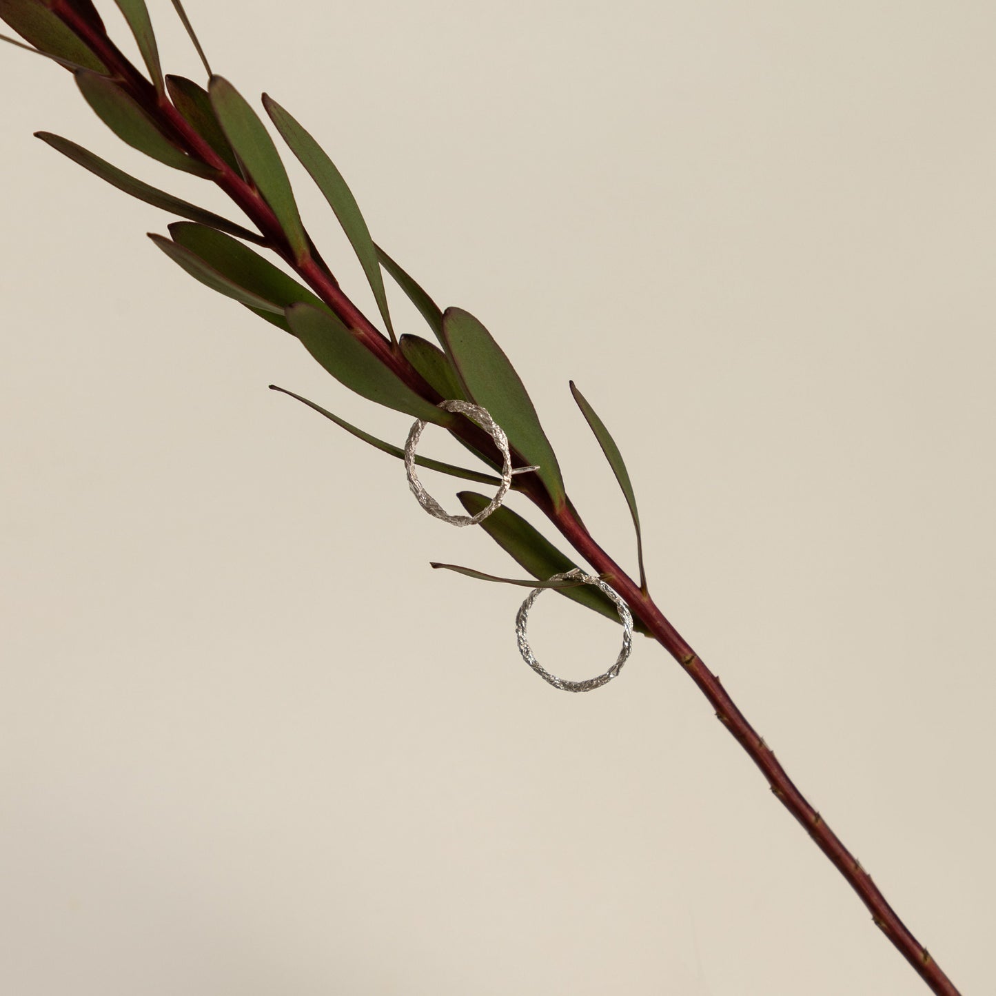 Minimalist product shot of silver textured circle earrings on beige background.