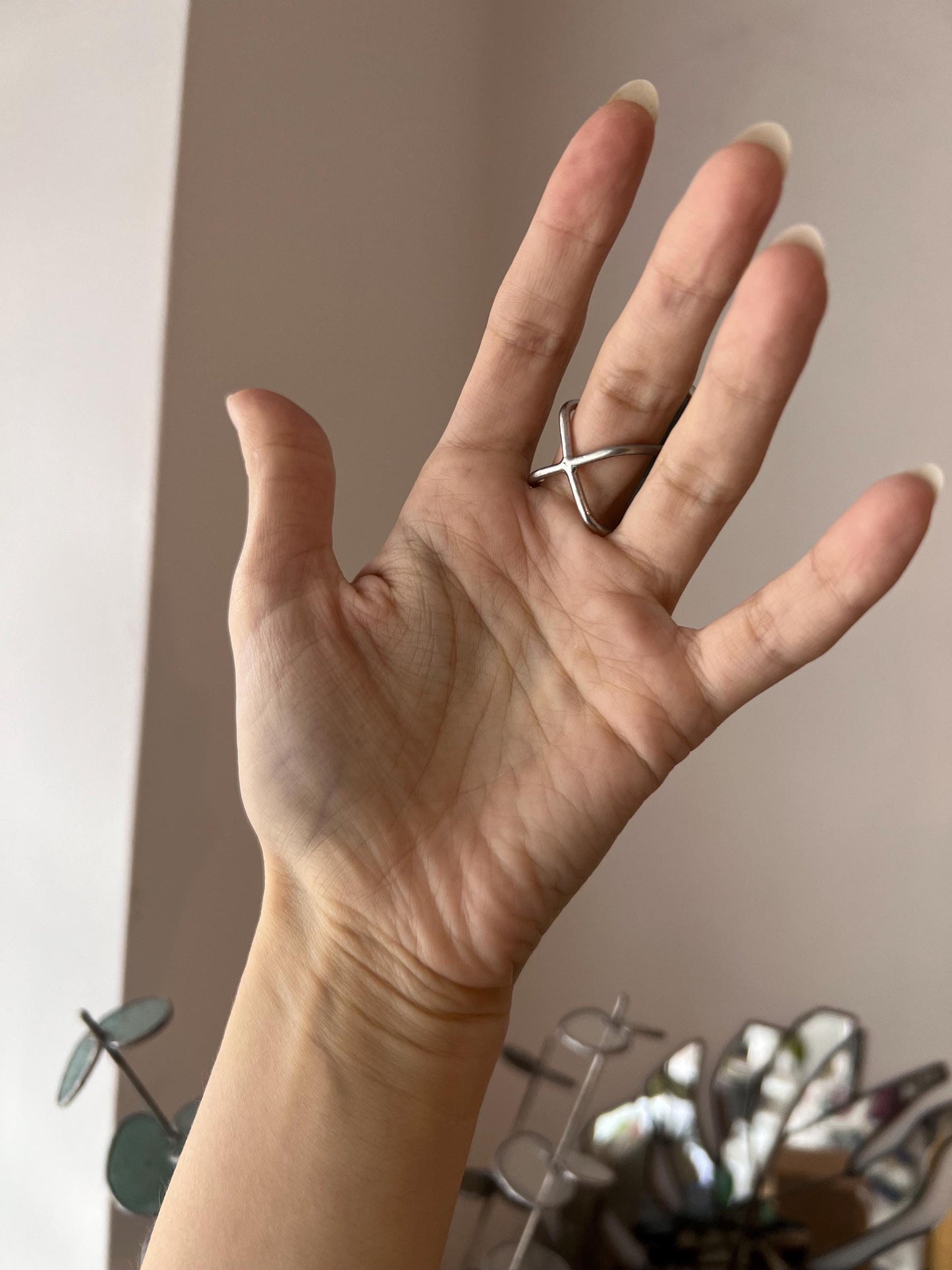 demonstration of a convenient ring attachment for this model